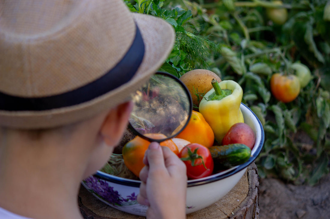 Ernährungsmythen unter der Lupe: Wissenschaft versus Volksweisheiten