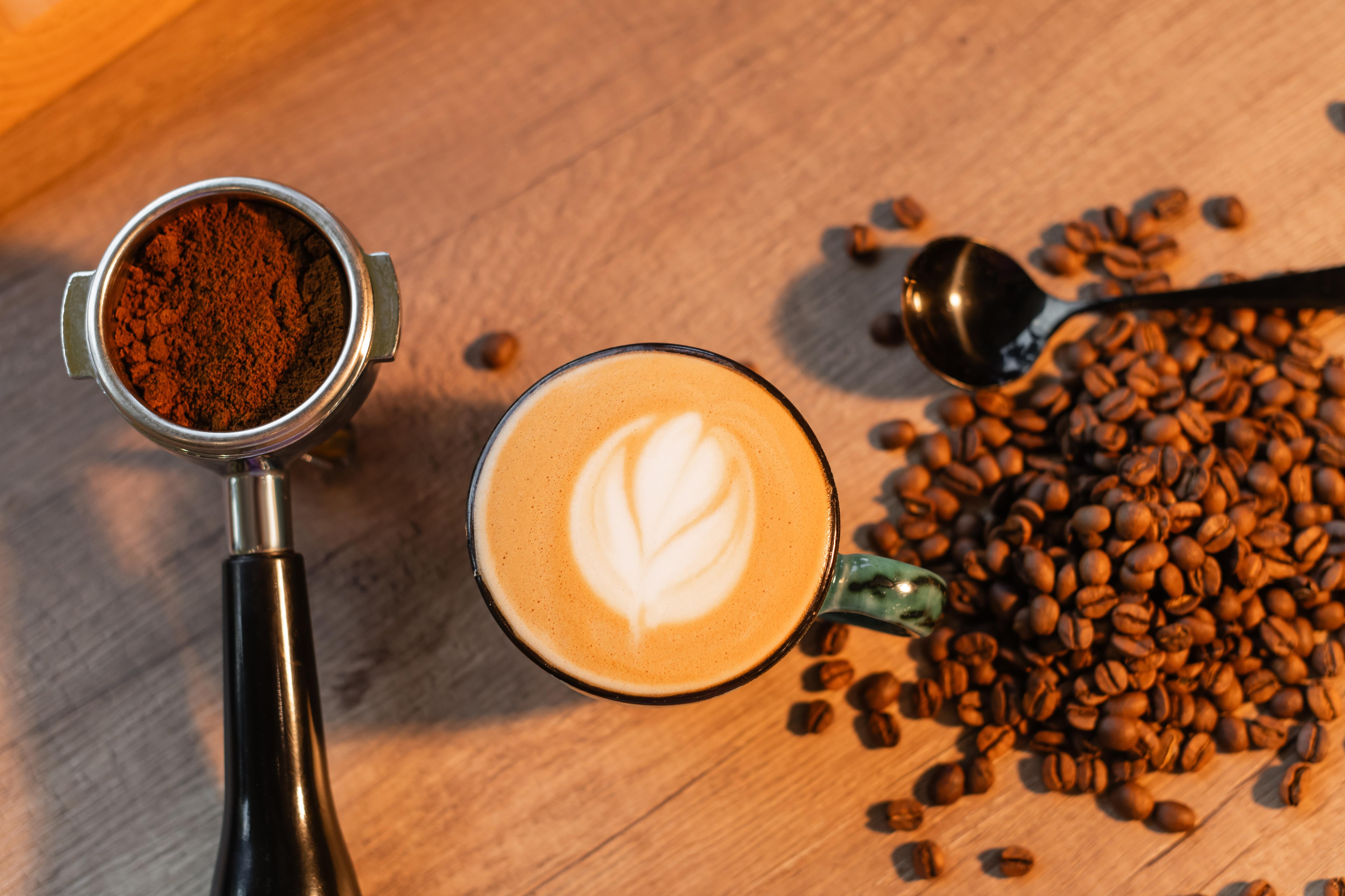 Kaffee & Tannine: Bittere Schönheit – Die Wissenschaft hinter Geschmack und Gesundheit