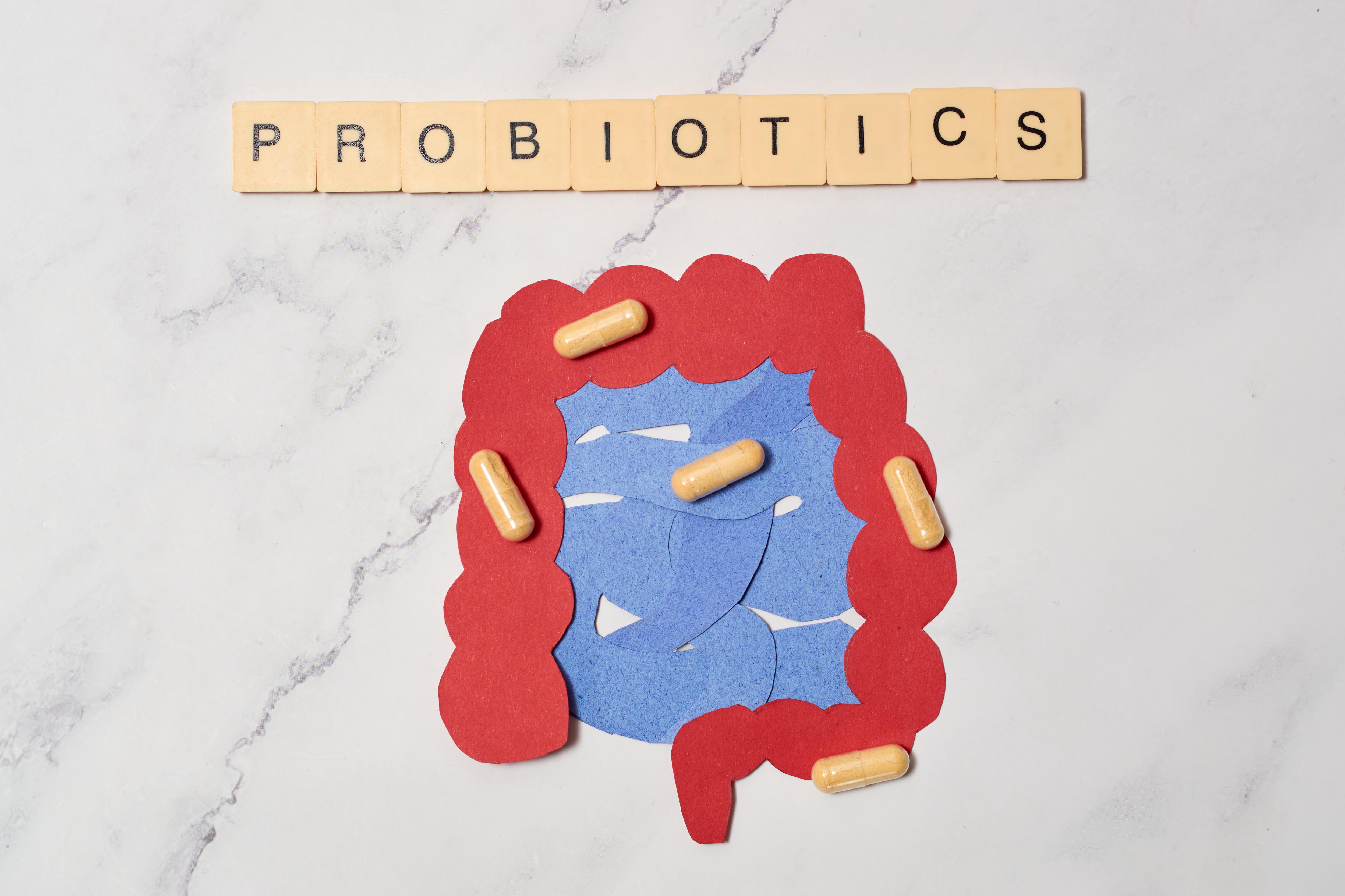Probiotika im Alltag: Was sagt die Wissenschaft – und was berichten Anwender?