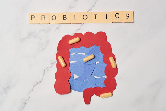 Probiotika im Alltag: Was sagt die Wissenschaft – und was berichten Anwender?