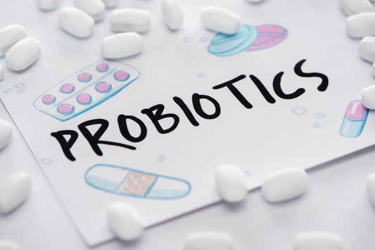 Drei starke Bacilli: Bacillus subtilis, Bacillus coagulans & Bacillus clausii – Mikrobielle Kraftpakete für Gesundheit und Industrie