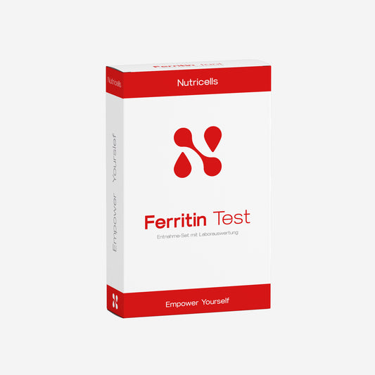 Ferritin (Eisen) Test